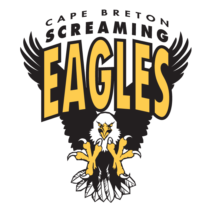 cape breton screaming eagles 1997-pres primary logo iron on transfers for T-shirts